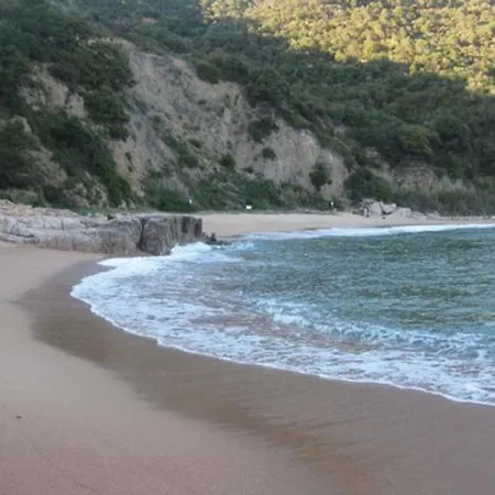 Canyet Costabravasi *