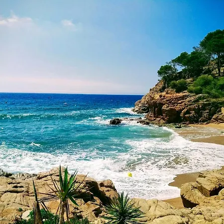 Canyet Costabravasi Apartment Santa Cristina d'Aro